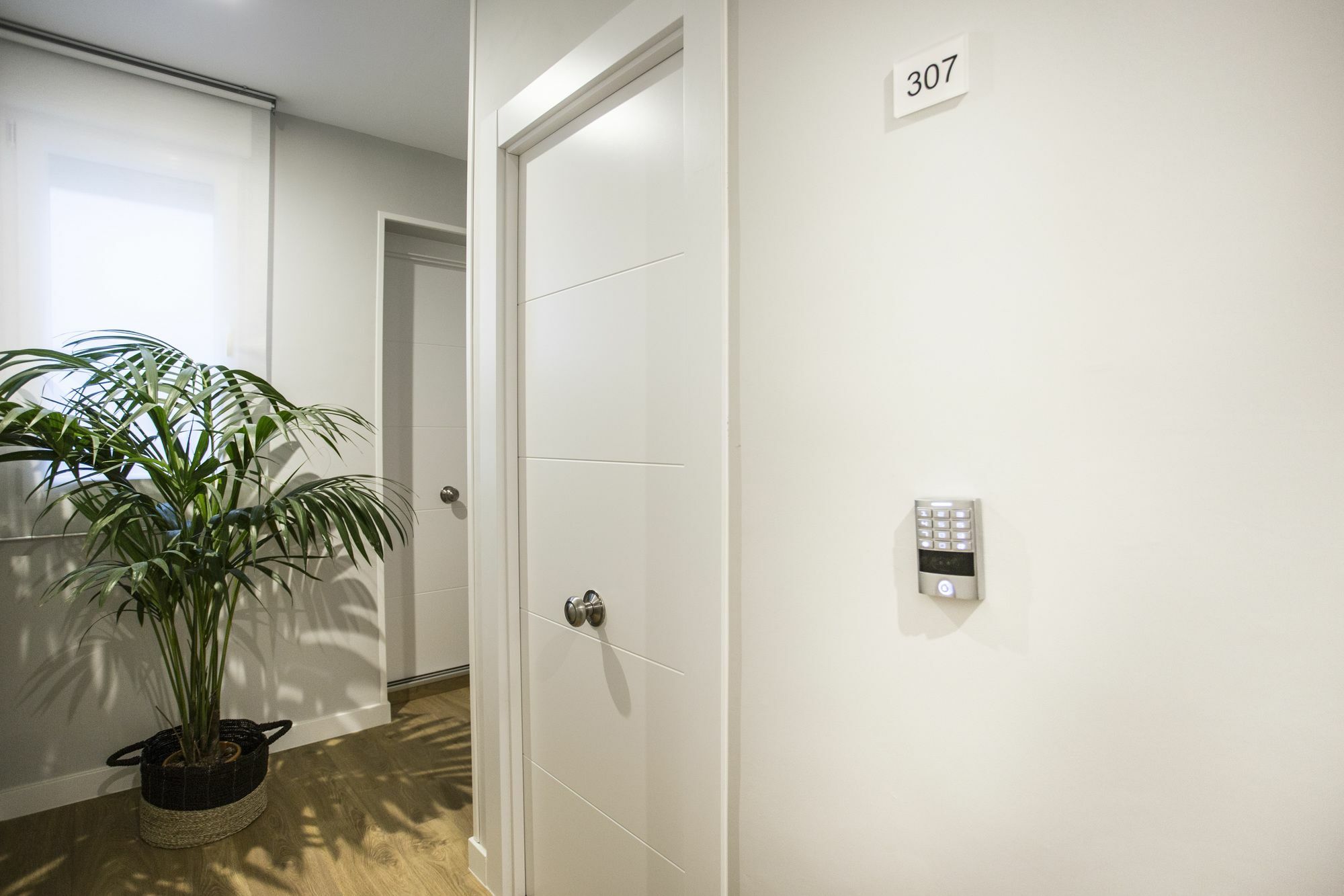 โอลา รูม Hotel มาดริด ภายนอก รูปภาพ